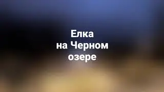 Новогодняя елка на Черном озере