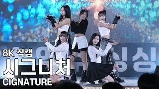 시그니처 - 영주장날 농특산물대축제 직캠 CIGNATURE Fancam 241101