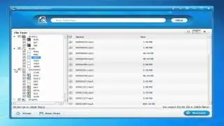 Wondershare Data Recovery   Raw Recovery