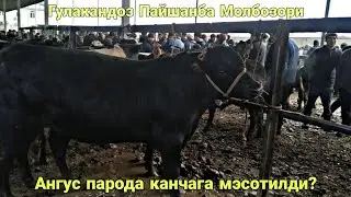 Молбозори Гулакандоз Пайшанба Куйлар Новвослар ва Бокма Новвослар Нархлари.Нархлар Паст.11.03.2021.