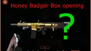 Warface: awesome Ccr Honey Badger box opening!