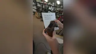 Why would he say 