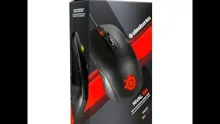 Мой новый питомец Steelseries Rival 100