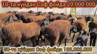 ТАЙЁР БИЗНЕС 5-ОЙДА 100-МИЛЛИОН ТОПИШ