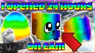 I hatched Rainbow Dogcat Egg For 24 Hours On Cam | Roblox Bubble Gum Simulator