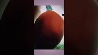 Яйцо