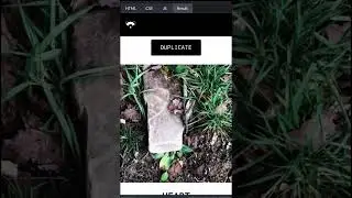 Mastering Page Scroll Animations: Trending Techniques for 2024 🔥🔥 