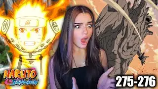 Naruto Enters the Battlefield! | Shippuden Episode 275-276 Reaction
