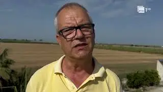 Energji e pastër, sipërmarrësi në Fier 80 përqind të energjisë e siguron nga panelet diellore