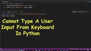 VS CODE NOT TAKING USER INPUT IN PYTHON