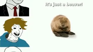 ‘It’s just a beaver!’ Slavs: