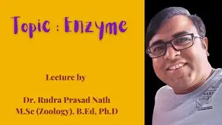 Enzyme : Part 1