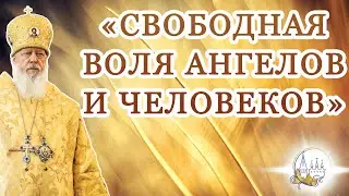«Свободная воля ангелов и человеков»