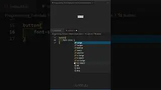 bottom to top Hover Effect ⚡ | Button Hover Effect using HTML CSS | 