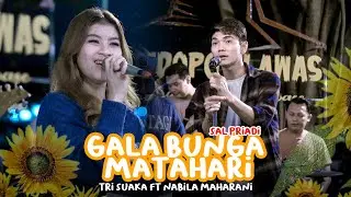 Gala bunga matahari  (Sal Priadi ) - NABILA MAHARANI FT TRI SUAKA