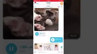 Моя переписка с братом 😍😂