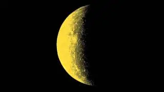 Animal Trainer - Krambambuli (Björn Störig Remix)