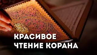 Мухаммад-амин (Сура Аль-Имран,) аят 14 (Коран)