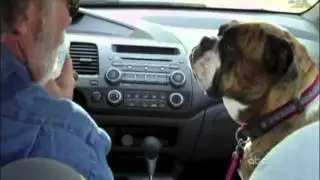 AFV FUNNEST VIDEOS!!!!! EPISODE 8
