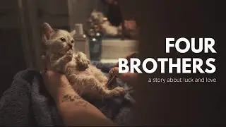 Four Brothers - A short film about luck and love.