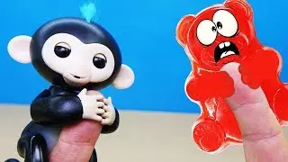 THE VALER'S MARTY AND THE BEARING BEAR