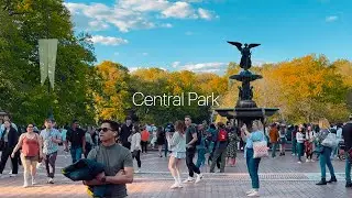 Central Park // Shot on iPhone 14 Pro // Cinematic 4K