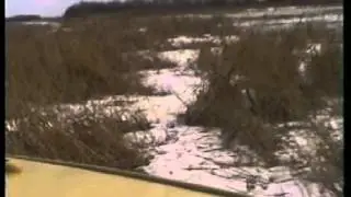 Аэросани — болото зимой