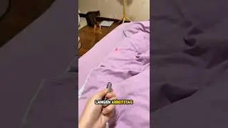 Sie konnte nicht glauben, was ihre Katzen taten 😮