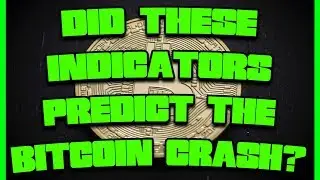 Predicting the Bitcoin Crash 🙏 - Could You Have Caught It?!