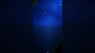 Terraria Ocean Facts