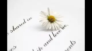 Что почитать из книг о любви?