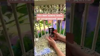 Что вам нужно знать на сегодняшний день
