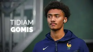 Tidiam Gomis - Season Highlights | 2024