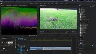 adobe premiere pro intro - class 1| adobe | video editing