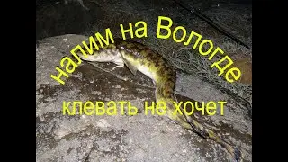 налим хитрый,Вологодский не хочет клевать.