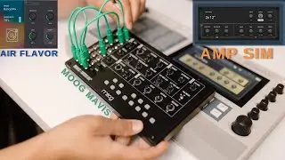 MPC LIVE 2 + Moog Mavis for some bass recording on samples
