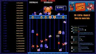Donkey Kong Junior - 1,319,700 (MAME)