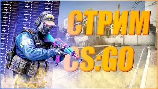 Стрим по CS:GO, возможно розыгрыш (Пытаюсь апнуть BigStar)