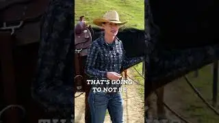 Why it's Important to Have a Halter on a Trail Ride 
