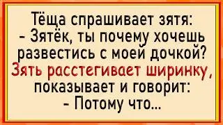 Как тёща зятю помогла! Сборник свежих анекдотов! Юмор!