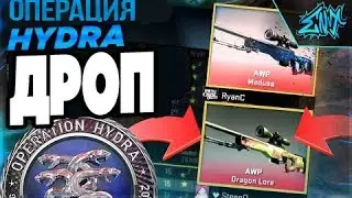 ТОП 5 - ЛУЧШИЙ ДРОП С ОПЕРАЦИИ HYDRA! ДРАГОНЛОР!CS:GO!