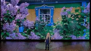 Заикина Алина - Городок