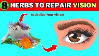 8 Herbs to Protect Eyes and Repair Vision (Revitalize Your Vision!)