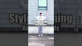 Style Training 