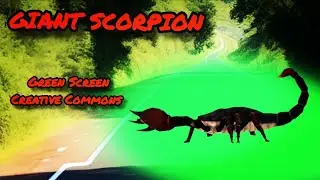 GIANT SCORPION GREEN SCREEN, CHROMAKEY.