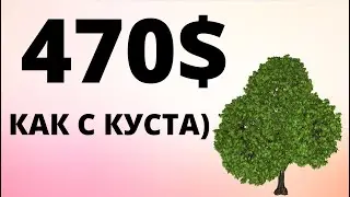 470 долларов как с куста