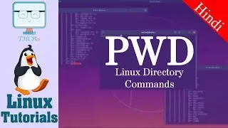 PWD - Linux Directory Commands  - 06 Linux Fundamental Course  [ Hindi ]