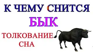 Приснился бык во сне толкование сна сонник