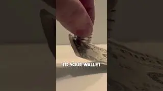 Dollar = Magnetic?!