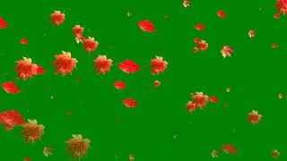 4K, Falling Leaves Green Screen, Autumn Leaves, green screen animation |chroma key | screen effects